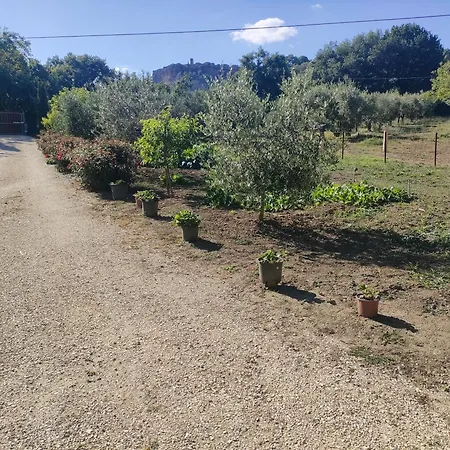 Διαμέρισμα La Casetta Della Valle Di Civita Bagnoregio